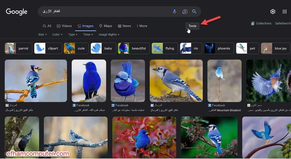 استخدام ادوات البحث عن الصور في محرك بحث صور جوجل