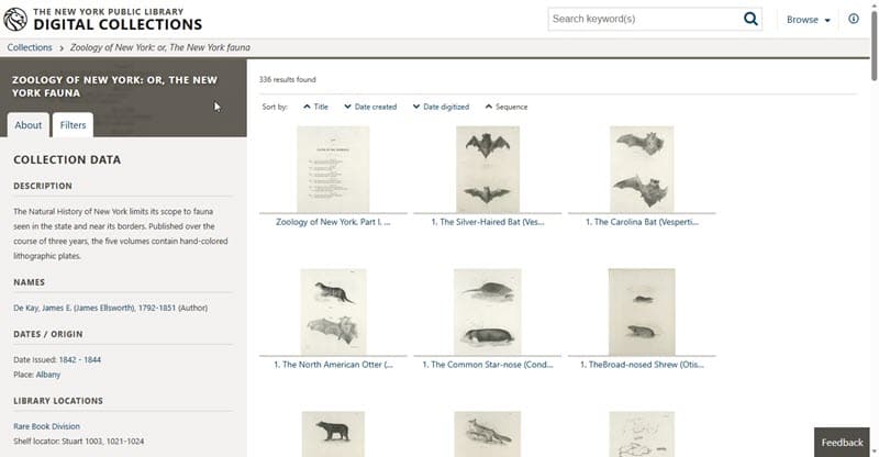 the new york public library digital collections