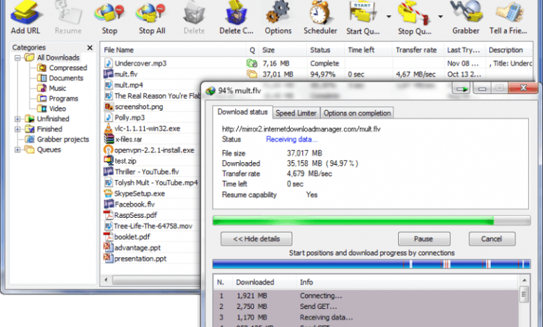 Internet-Download-Manager