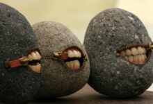 14 strangest websites