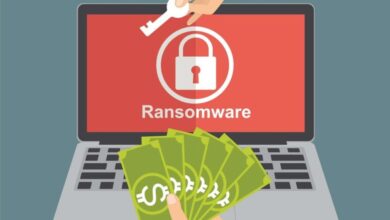 فيروس الفدية ransomware
