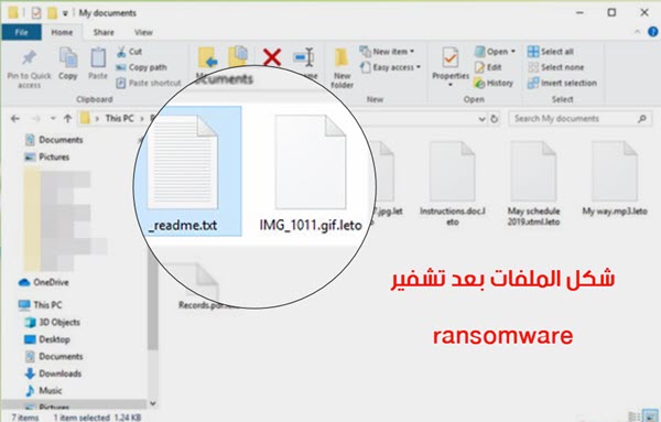 شكل ملفات فيروس الفدية ransomware 